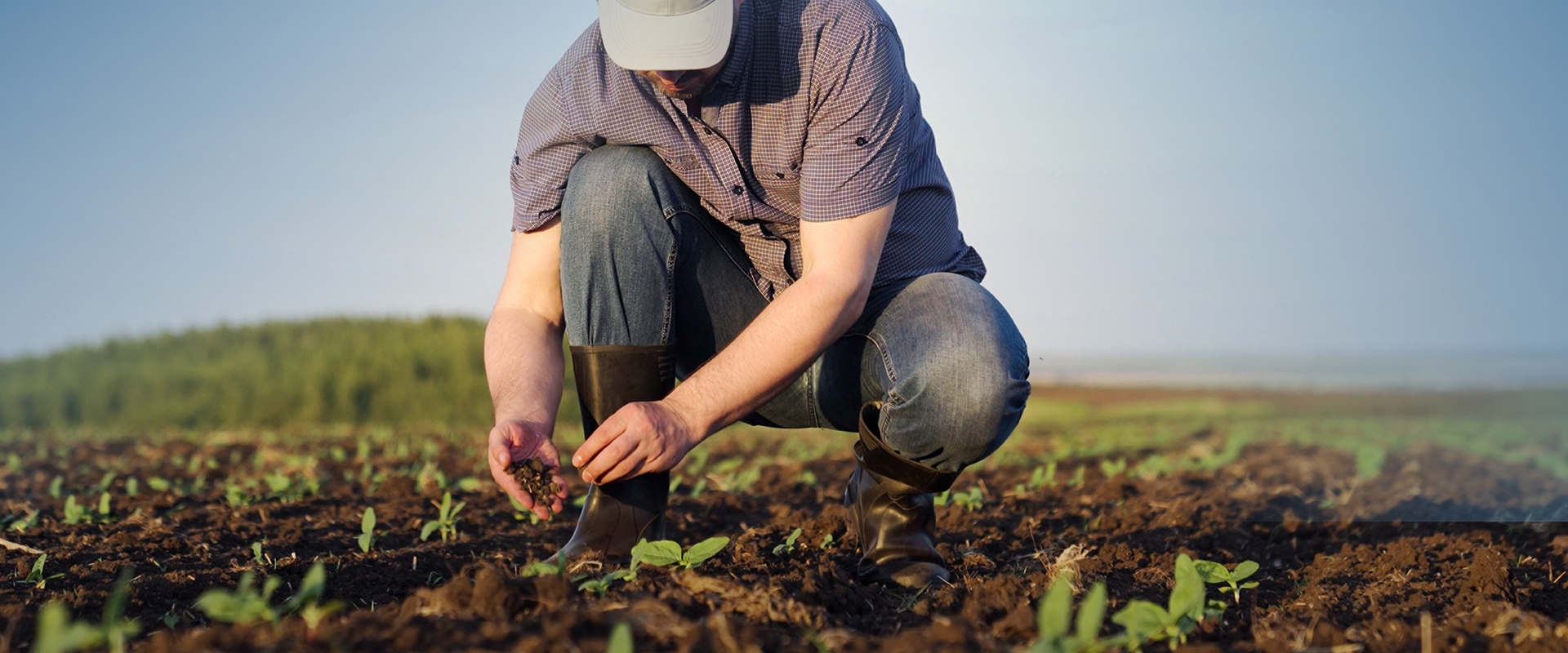 A man in a field planting crops